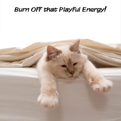 Show full view: Pet Adobe Interactive 19-in Sisal Cat Scratching Post slide 7 of 10