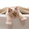 Show in main carousel: Pet Adobe Interactive 19-in Sisal Cat Scratching Post slide 9 of 10