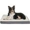 Show in main carousel: Pet Adobe Memory Orthopedic Foam Bolster Dog Bed with Removable Cover, Large, Gray slide 1 of 8