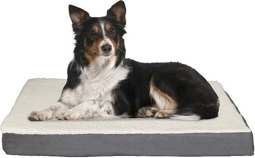 Show full view: Pet Adobe Memory Orthopedic Foam Bolster Dog Bed with Removable Cover, Large, Gray slide 1 of 8