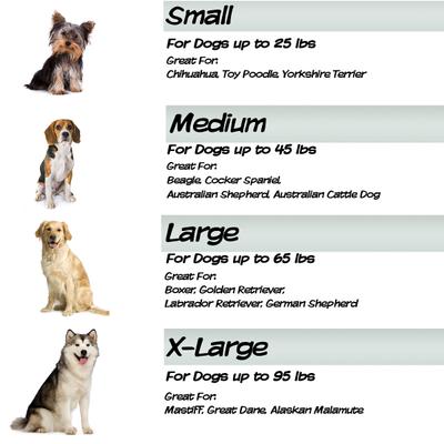 Show full view: Pet Adobe Memory Orthopedic Foam Bolster Dog Bed with Removable Cover, Large, Gray slide 5 of 8