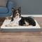 Show in main carousel: Pet Adobe Memory Orthopedic Foam Bolster Dog Bed with Removable Cover, Large, Gray slide 6 of 8