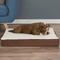 Show in main carousel: Pet Adobe Memory Orthopedic Foam Bolster Dog Bed with Removable Cover, Medium, Brown slide 6 of 8