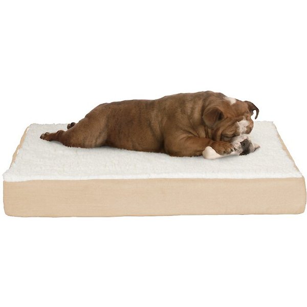 PET ADOBE Elevated Dog Bed, Blue, Medium - Chewy.com - Elevated Foam Pillow Dog Bed