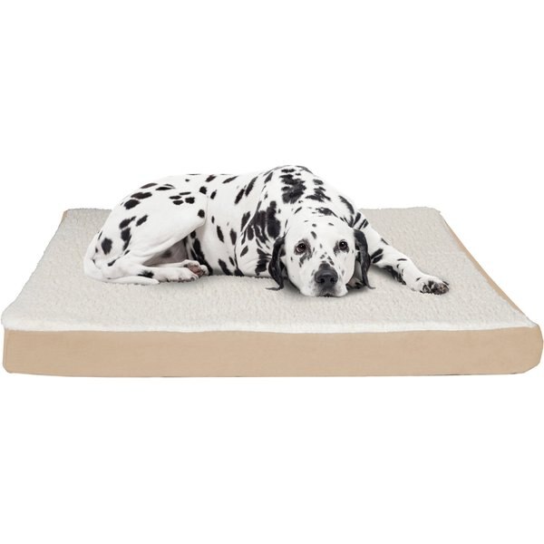 Pet Adobe Foam Covered Dog Bed