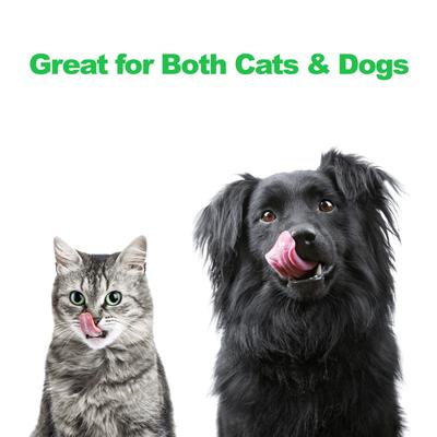 Show full view: Pet Adobe Modern Double Elevated Dog Bowl slide 5 of 8