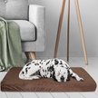 Show in main carousel: Pet Adobe Orthopedic Memory Foam Bolster Dog Bed with Removable Cover, Medium, Brown slide 6 of 8