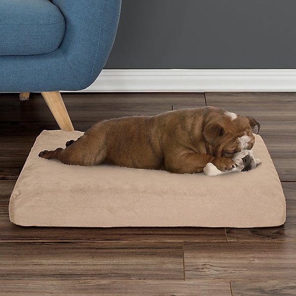 Show full view: Pet Adobe Orthopedic Memory Foam Bolster Dog Bed with Removable Cover, Small, Tan slide 6 of 8