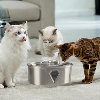 Show full view: Pet Adobe Plastic with Motion Sensor Dog & Cat Water Fountain, Stainless Steel, Medium slide 6 of 8