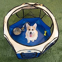 Pet Adobe Portable Pop-Up Dog & Cat Playpen, Blue, Medium