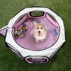Pet Adobe Portable Pop-Up Dog & Cat Playpen, Pink, Large