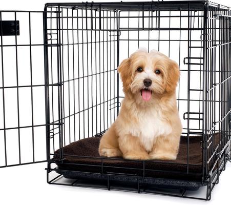 Show full view: Pet Adobe Self-Warming Dog Crate Mat, 36-in, Brown slide 5 of 9