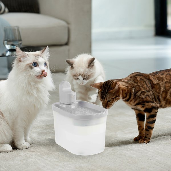 Show full view: Pet Adobe Stainless Steel Dog & Cat Water Fountain, Large, 3.5-L slide 8 of 9