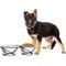 Show in main carousel: Pet Adobe Stainless Steel Elevated Dog & Cat Bowls, 2 count slide 2 of 6