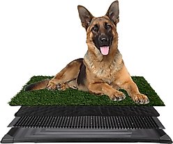 Pet Adobe Washable Artificial Grass Dog Pee Pad with Tray, Large: 35.5 x 23.5-in