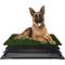 Show in main carousel: Pet Adobe Washable Artificial Grass Dog Pee Pad with Tray, Large: 35.5 x 23.5-in slide 1 of 8
