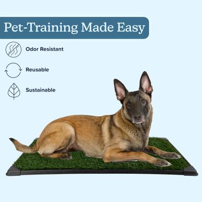 Pet Adobe Washable Artificial Grass Dog Pee Pad with Tray