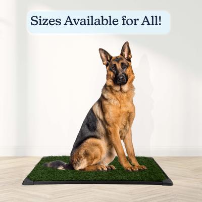 Show full view: Pet Adobe Washable Artificial Grass Dog Pee Pad with Tray, Large: 35.5 x 23.5-in slide 2 of 8