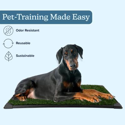 Pet Adobe Washable Artificial Grass Dog Pee Pad with Tray