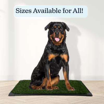 Pet Adobe Washable Artificial Grass Dog Pee Pad with Tray