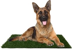 Pet Adobe Washable Artificial Grass Dog Pee Pads Refill, 3 count, Large: 35.5 x 23.5-in
