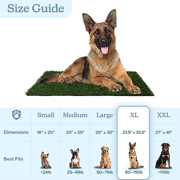 Show full view: Pet Adobe Washable Artificial Grass Dog Pee Pads Refill, 3 count, Large: 35.5 x 23.5-in slide 7 of 9