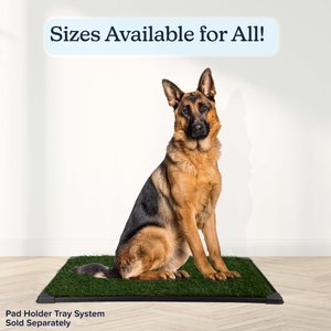 Pet Adobe Washable Artificial Grass Dog Pee Pads Refill, 3 count, Large: 35.5 x 23.5-in