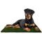 Show in main carousel: Pet Adobe Washable Artificial Grass Dog Pee Pads Refill, 3 count, X-Large: 41 x 27-in slide 1 of 9