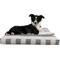 Show in main carousel: Pet Adobe Water-Resistant Indoor/Outdoor Dog Bed with Removable Cover, Gray, Medium slide 1 of 6