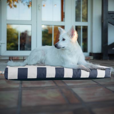 Show full view: Pet Adobe Water-Resistant Indoor/Outdoor Dog Bed with Removable Cover, Navy, Medium slide 2 of 6