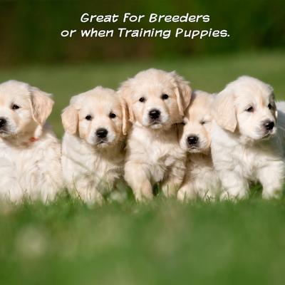 Show full view: Pet Adobe Waterproof Crate Dog Bed, Navy, Large slide 6 of 9