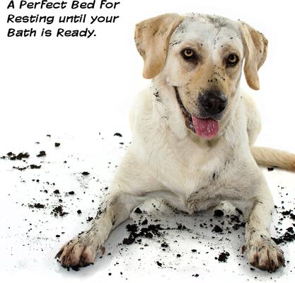 Show full view: Pet Adobe Waterproof Crate Dog Bed, Navy, Large slide 7 of 9