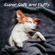 Show in main carousel: Pet Adobe Waterproof Fuzzy Throw Blanket, Gray, X-Large slide 5 of 9