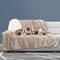Show in main carousel: Pet Adobe Waterproof Fuzzy Throw Blanket, Tan, X-Large slide 1 of 9