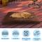 Show in main carousel: Pet Adobe Waterproof Indoor/Outdoor Memory Foam Dog Bed, Brown, Large slide 2 of 9
