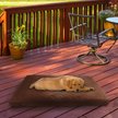 Show in main carousel: Pet Adobe Waterproof Indoor/Outdoor Memory Foam Dog Bed, Brown, Large slide 6 of 9