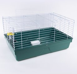 Pet Champion Small Animal Starter Kit, Teal/White