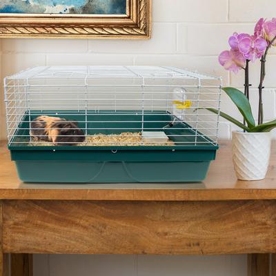 Show full view: Pet Champion Small Animal Starter Kit, Teal/White slide 2 of 6