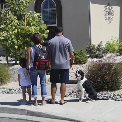 Show full view: Pet Evac Pak Big Dog Pak Pet Emergency Kit slide 3 of 11