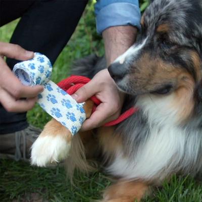 Show full view: Pet Evac Pak Tactical Pet First Aid Kit slide 7 of 9