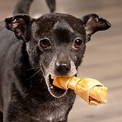 Pet Factory American Beefhide 4 to 5-inch Knotted Bones Chicken Flavored Chewy Dog Treats, 4 count slide 2 of 3