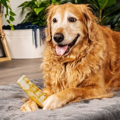 Pet Factory American Beefhide 7-inch Rolls Chicken Flavored Chewy Dog Treats, 4 count slide 2 of 5