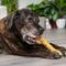 Show in main carousel: Pet Factory Beefhide 12-inch Chicken Flavored Dog Bones, 1 count slide 3 of 10