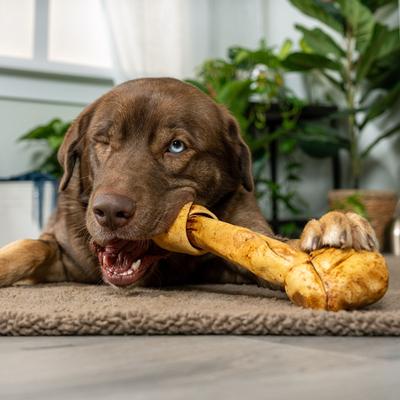 Show full view: Pet Factory Beefhide 12-inch Peanut Butter Flavored Dog Bones, 1 count slide 3 of 9