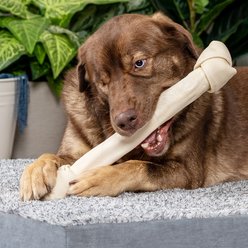 Pet Factory Beefhide 15 to 17-inch Knotted Bone Natural Flavored Chewy Dog Treat, 1 count slide 2 of 3