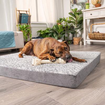 Show full view: Pet Factory Beefhide 20 to 22-inch Natural Flavored Dog Bones, 1 count slide 10 of 11