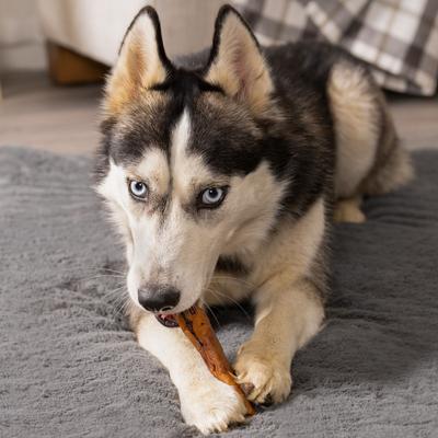 Show full view: Pet Factory Beefhide 5-inch Chip Rolls Variety Pack Beef & Chicken Flavored Dog Hard Chews, 20 count slide 10 of 10