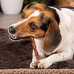 Pet Factory Beefhide 5-inch Twist Sticks Peanut Butter Flavored Dog Hard Chews, 1-lb bag slide 2 of 9