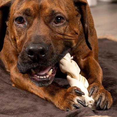 Show full view: Pet Factory Beefhide 6-inch Braided Sticks Natural Flavored Natural Dog Hard Chews, 14 count slide 3 of 10