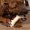 Show in main carousel: Pet Factory Beefhide 6-inch Natural Flavored Dog Bones, 12 count slide 3 of 10